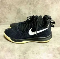 LeBron 16 Low 
