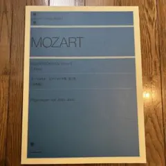 washio様 リクエスト 2点 まとめ商品