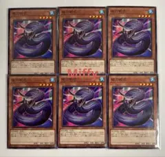 遊戯王 夜刀蛇巳 (ノーマル) 6枚