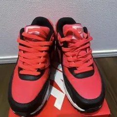 レア！最終価格！Nike Air Max 朱色/スニーカー