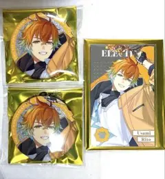 にじさんじ　宇佐美リト　缶バッジ　メタルチェキカード