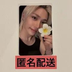 スキズ KARMA エバラ everline 特典 トレカ フィリックス