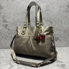 Coach Y2K Ashley Leather Boston Bag