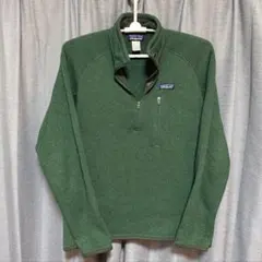 Patagonia パタゴニア メンズ フリース グリーン