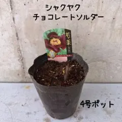 ぽん様 リクエスト 2点 まとめ商品