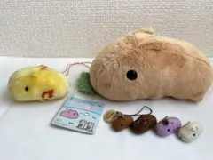 2026年最新】カピバラさん ぬいぐるみの人気アイテム - メルカリ