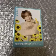 FANTASTICS ファンタ 八木勇征 フォトカード シクレ シークレット