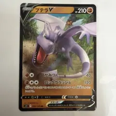 2026年最新】プテラVの人気アイテム - メルカリ