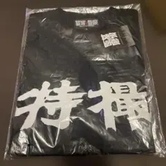 Item thumbnail for item 4e8541a6-977e-4d33-90fe-ed7fef4640b6