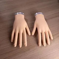 【骨折なし・箱付き】JNEC認定モデルハンド