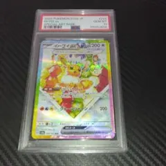 イーブイ ex SPECIAL ART RARE 2枚セット イーブイ ex SPECIAL ART RARE 2枚セット イーブイEX SPECIAL