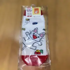 ノンタン ぱっぱらぱなし 靴下 レディース 22-25cm