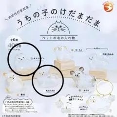 うちの子のけだまま 犬 ポメラニアン 丸たれみみ