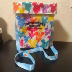 東京ディズニー　スーベニアポップコーンケース