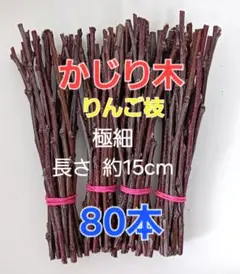 Item thumbnail for item 5b9de283-e381-4a5d-91d0-c853f4589c27