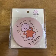 OONOTARO × 3COINS マンスリーカード 15種セット