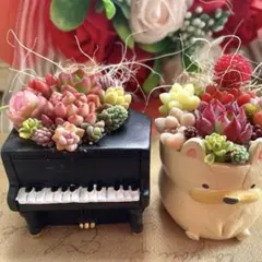 2個セット♡フレンチブルドッグ✴︎ピアノ♡多肉植物寄せ植え♡そのまま飾れる♡