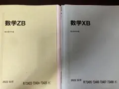 数学ZX 2025年版 駿台数学科編 2025前期 - メルカリ
