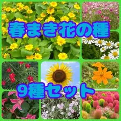 peko&nana様 リクエスト 3点 まとめ商品