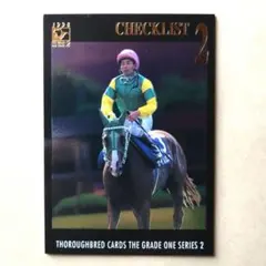 GRADE ONE シリーズ2 、サイレンススズカ