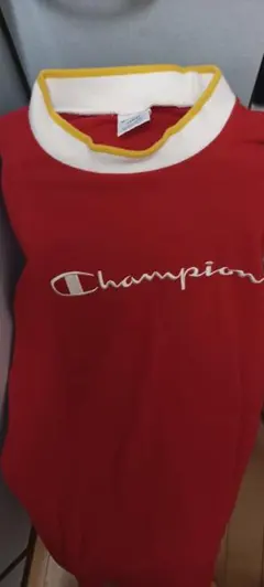 チャンピオン洋服などいろいろ