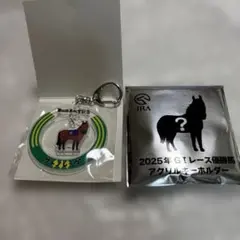 JRAウェルカムチャンスGI優勝馬 アクリルキーホルダー サトノレーヴのサムネイル