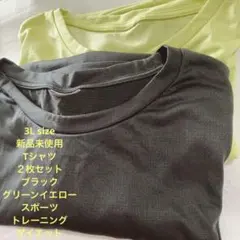 ⭐︎新品未使用✴︎Tシャツ2枚セット⭐︎3Lサイズ⭐︎