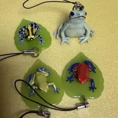 ネイチャーテクニカラー ヤドクガエル マグネット×ストラップ