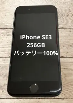 【ジャンク品】iPhone SE3 256GB 2026年最新】IPhoneSE3 256gb ジャンクの人気アイテム - メルカリ