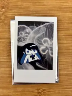 2025年最新】ado チェキの人気アイテム - メルカリ