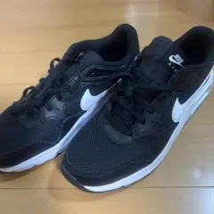Nike Air Max ブラック/ホワイト