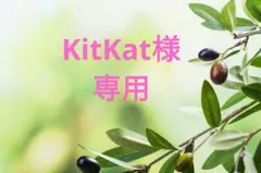 Item thumbnail for item 8b86ca41-a0cd-41e3-8f12-751aaceaf6e7