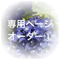 専用④ハンドメイド コヤンイサムチョン リトルヤーン ハンターズ