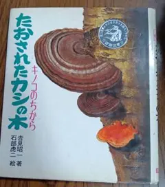 Item thumbnail for item a658d80a-4b08-4939-876d-2770c19d1c7f