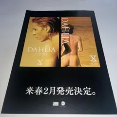 Item thumbnail for item 5e0a6e28-5ac5-4687-8e3e-e6ed525f490a