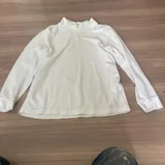 Item thumbnail for item 11e1ac6a-488f-46ff-9ccd-aa633ec9f5b0