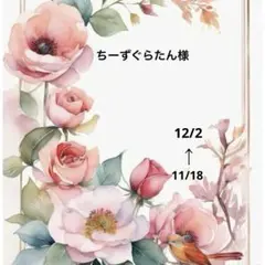 ちーずぐらたん様