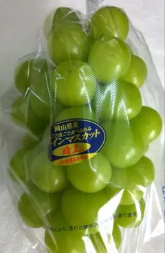 ☆長野県中野市産ハウス栽培☆シャインマスカット2kg（2~3房） - メルカリ