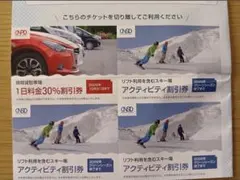 日本駐車場開発の株主優待(1000株)割引券・リフト券1冊 最新版