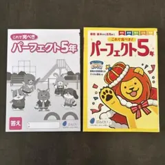 これで完ぺき パーフェクト5年　漢字ドリル　計算ドリル　文溪堂　新品未使用のサムネイル