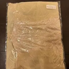 Item thumbnail for item 35601f1d-7ab0-4441-87de-fdd1b9000839