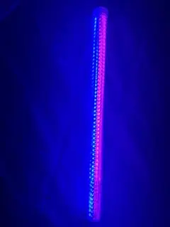 専