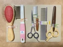 Item thumbnail for item 6ce512d7-5409-4e55-bd27-fb09c6527036