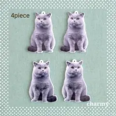 Item thumbnail for item df5c1261-e010-426f-bb07-d9d547ebfbb4