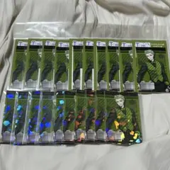 ツイステ　セベク　ユニオンバースデー　カード