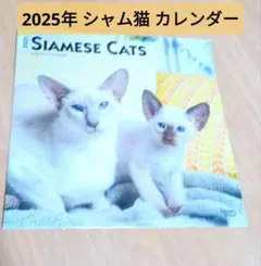 2025年 シャム猫 カレンダー/ブラウントラウト 30.5 x 61 cmのサムネイル