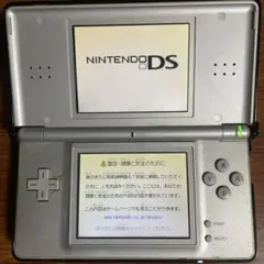 ※森の木様専用 [美品！]ニンテンドーDS Light本体 シルバーカバー付き