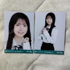 欅坂46 平手友梨奈 封入生写真 最終値下げ❗️ - メルカリ