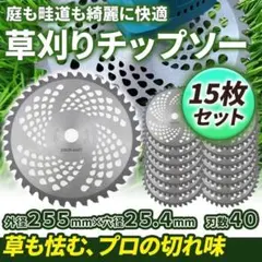 15枚セット チップソー 255mm 40枚刃 替え刃 カッター草刈機 雑草 Fのサムネイル