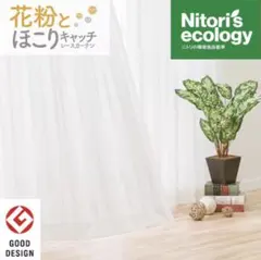 【ニトリ】レースカーテン(キャッチCソニック 100X176X2)